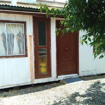 Cabana Independiente No Pareada Lugar Tranquilo Valdivia Kültér fotó